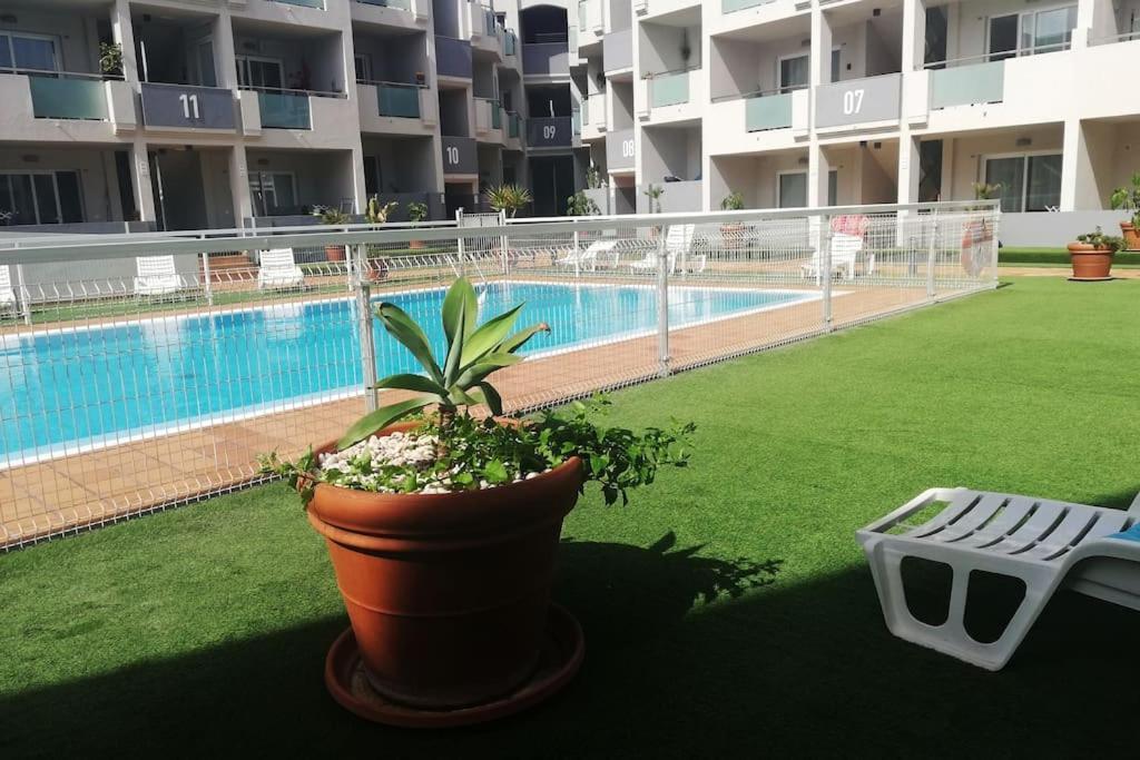 Blue Ocean Corralejo: Sunny Terrace, Pool, Wifi Apartment Ngoại thất bức ảnh